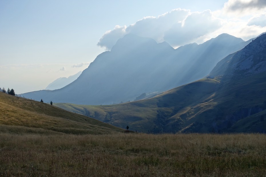 3F78C12C-6954-45E2-AFA7-31564793F7A1