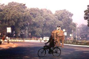 0989F318-C253-4EC0-8538-08FA96BD15A3