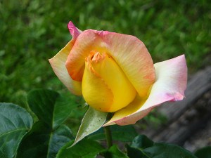 17D599A9-9597-4756-8ECA-E87360084B24