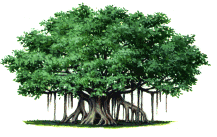 515C589D-ABC3-4427-9C87-9BE6B133DE2E