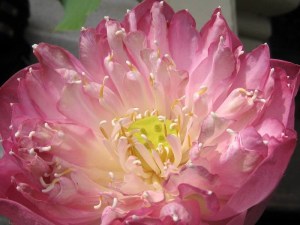 A310FF76-8A97-4998-8F11-0ADE5154B630