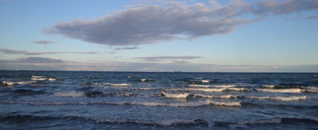 CFC3F4DF-C07D-46E3-B8F9-899813B48B8E