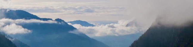 EE49686E-CB22-4C15-B26F-110CBFA077B6