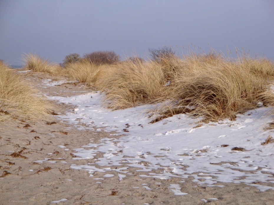 FA724620-C038-4015-B094-BBDBA5FE0F94