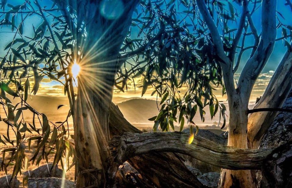 54FBA5AA-D3BB-4D0D-BC1B-451F47336A90