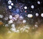 6E052D74-E6E9-433B-A389-30CB554DE9B1