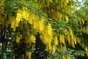 8EB23C6F-03D6-4CC7-86BA-2AE682A82FBE