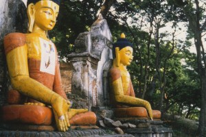 D9816B38-5F29-42B7-87DB-02A6A641FC60