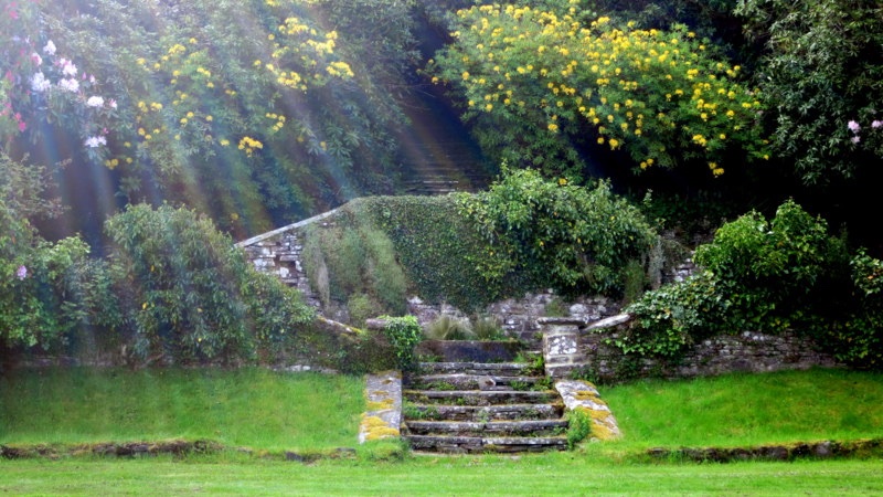 232DB598-9B74-4CE4-9D60-80D0DDE4D7E3