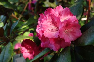 787F095E-7720-40E7-90B4-386B330064B3