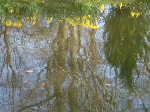 A92628CE-A6C2-488B-BF27-D5FC0F8B52F6