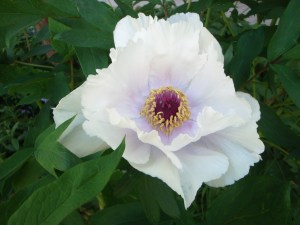 2D1E2A0F-6336-415F-8F7E-1753CBDD9C49