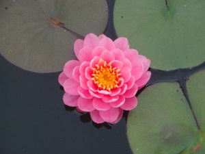 7E415E93-13F5-4130-91A5-A2ACFC144743