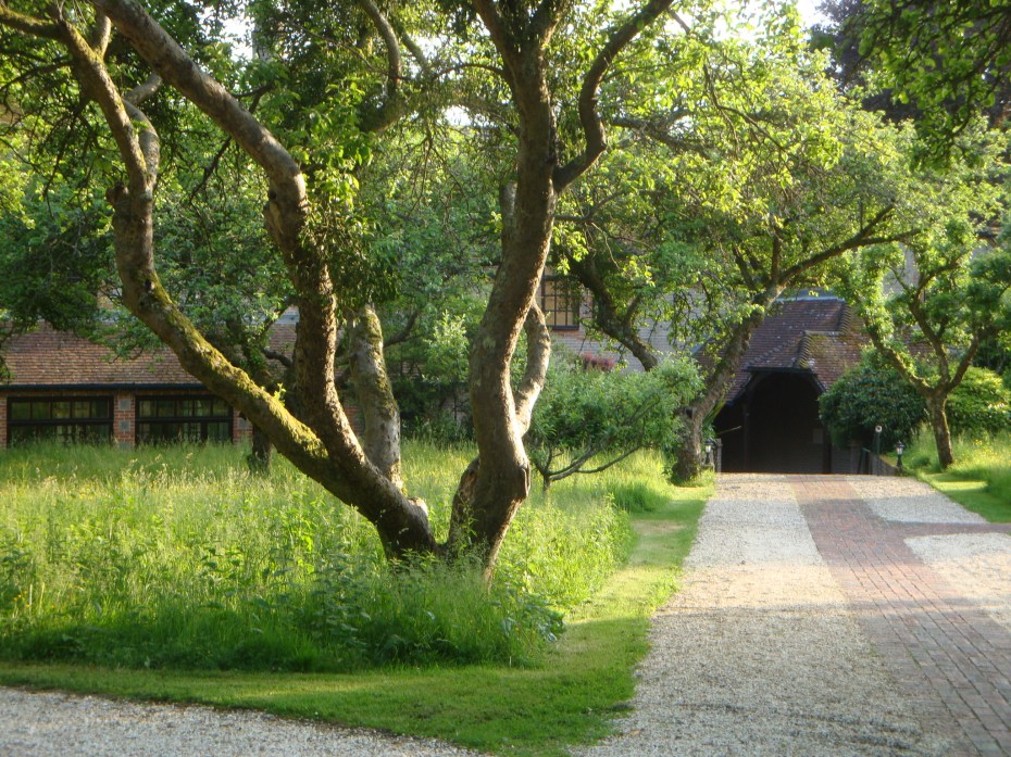 A1B2F597-5995-4A03-B157-1A10886EAB83