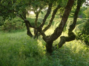 DBB421B0-C892-49EF-A4DD-C29DE6833B04