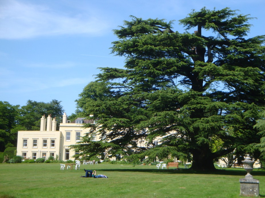 FDD8CCD5-C48D-48C8-BAD0-FF822C8BB2EF