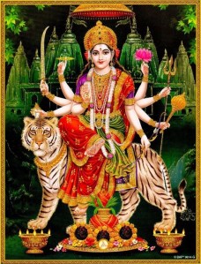 85EA77B5-A47B-4B25-961E-7B4128067CBB