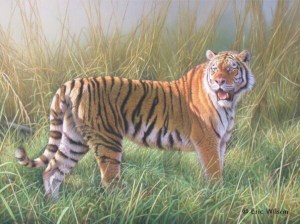 A66A64AB-AA4B-4D27-B857-7C05567C485D