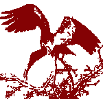 FDCF1DB6-1054-4FA4-8AB7-767622CA8F23