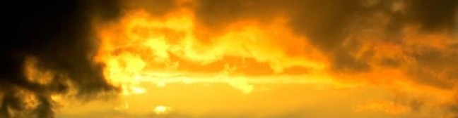 C5AEEA55-D183-413D-BA80-692B79C21E76