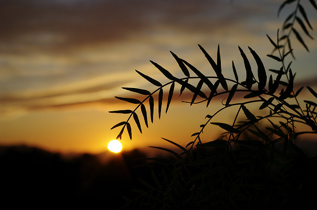 F20E7461-0EFF-42D9-9873-F3700960AA92