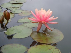 05F32473-CF34-4B2F-A100-97F73F96BE29