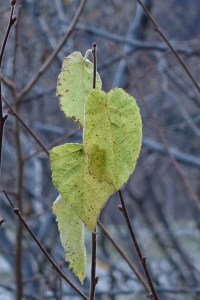 08DD4FD3-202E-4842-9366-AA37FDA1B845