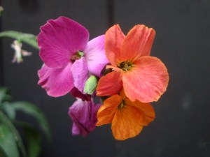 239C7A76-7CDA-49DC-8EEB-E9731E528FD3