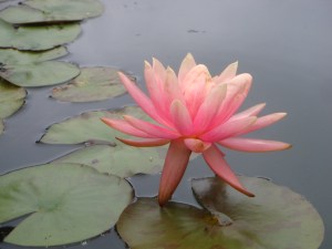 3F087561-7666-4624-967C-B2DE63A5CCC2