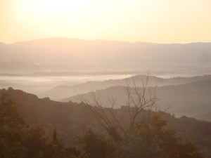 47E9650D-FA2C-4993-8DF6-A66B1487BA8B