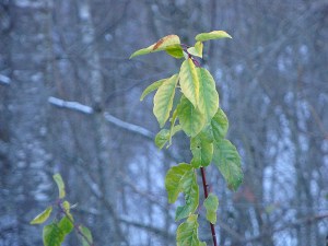 6AFD14CD-D400-4E44-9CBB-E8D0FE002AFF