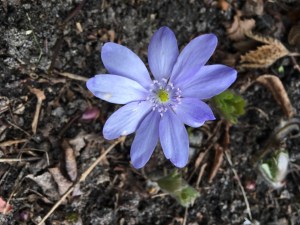 7AD39043-B189-4A74-91AC-3DFE57B36EF9