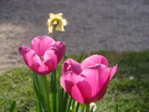 D46CFEFB-819A-4065-8063-736965E2B2ED