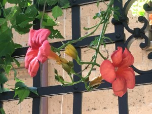 DA1A3CB4-7EB3-4143-B6EB-D42638C348AE