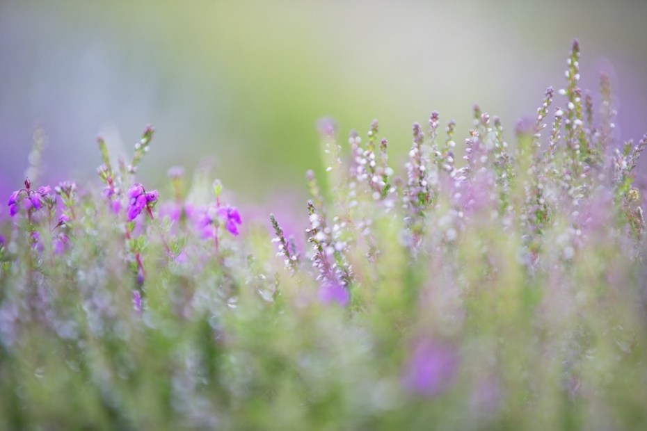 171DAA92-5FD3-47D9-A0A3-D9AD44CE0443