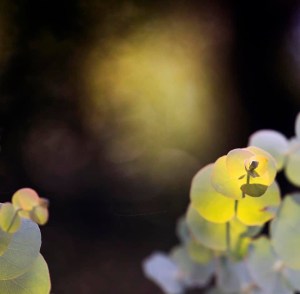 26BD1690-6560-42F5-B4C2-F2E18359C58A