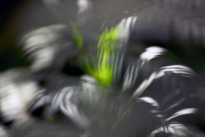 3AEC7ECC-4B1B-4707-98BB-2CAC2C6FF029