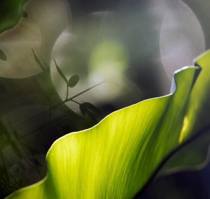 786A6562-DF9F-4744-AE40-5CA95F1B8251