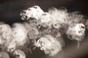 BCE54109-58D4-4042-AD82-378AFBB5247B