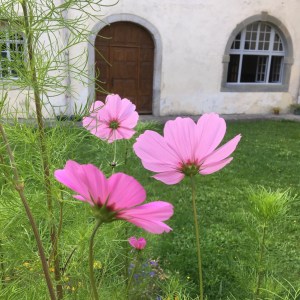 E35F0785-2A9C-4F53-8082-7DE225539CAA