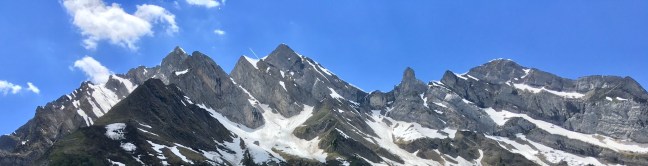 31C86DE7-A2AE-442F-9B22-EE133F6A10C3