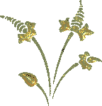 393C2889-ACB7-44E8-8996-4D40B91E4B54