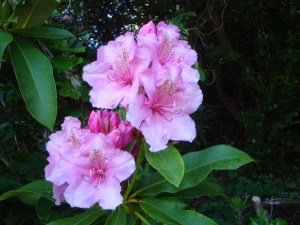 8495DFA1-7799-4ACE-8506-F602FCCE6ECD