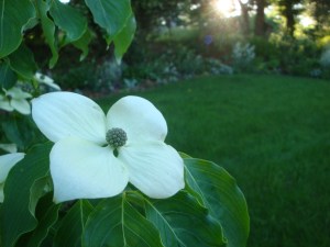 A9EBCF07-B83D-4D66-8E87-E0866048D5D3