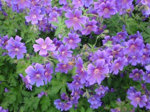 B30783B8-BBDA-4E93-9FFA-2B2359F33CF6