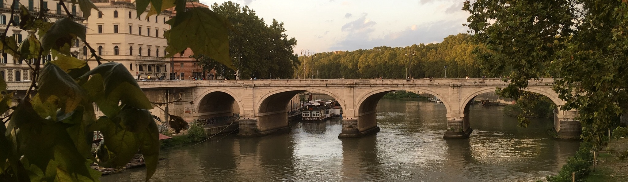 FC3CE29D-549E-4A39-AC8D-14D41E66FC63