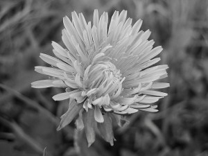 75FD211F-0F2D-4542-83DF-878E8CC49E40