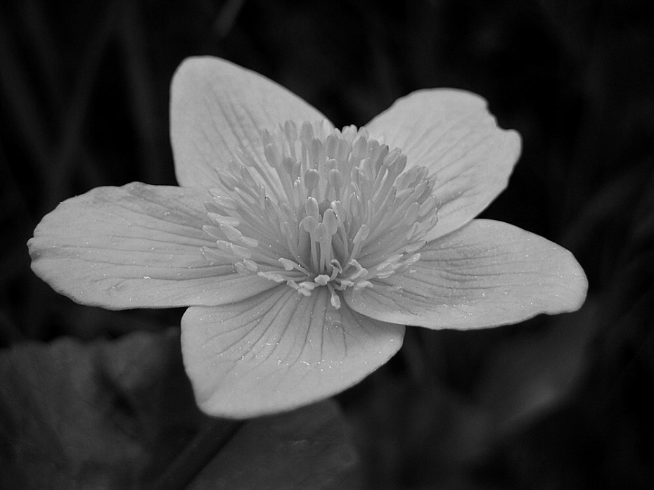 9456972E-DD3C-4D2B-8979-DA4B11BFF71C