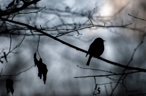 742F9AAF-BA14-447A-9070-9AFBB335A5F6