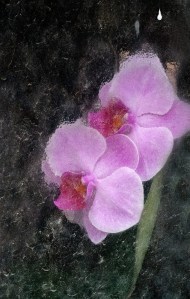 AAECCA31-ABB9-48B2-B281-247FFE188712